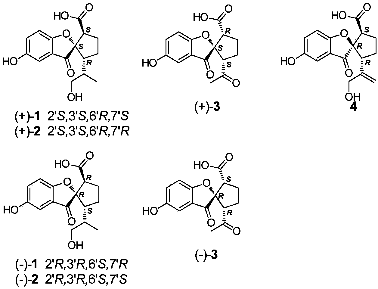 Spirolingzhine compounds as well as pharmaceutical composition and applications thereof