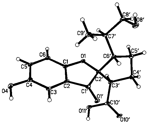 Spirolingzhine compounds as well as pharmaceutical composition and applications thereof