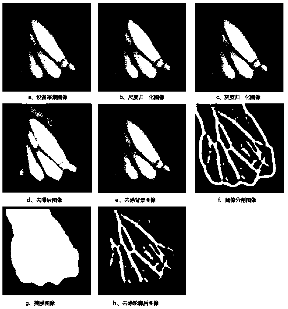 A hand back vein identity recognition method