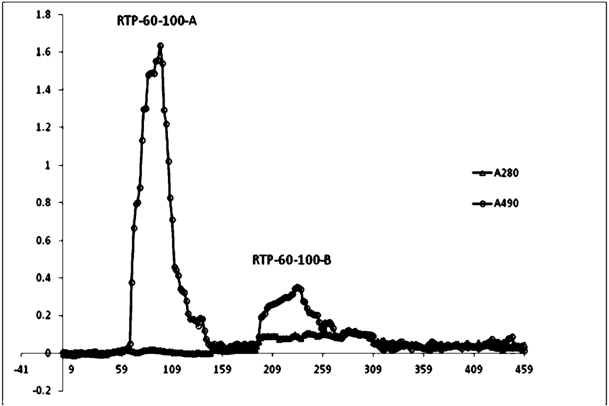 Radix ranunculi ternati crude polysaccharide and polysaccharide component as well as preparation method of polysaccharide component as well as application of radix ranunculi ternati crude polysaccharide and polysaccharide component in liver protection and immune regulation