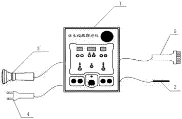 Bionic main and collateral channel physiotherapy instrument