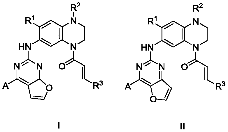 Furo pyrimidin di-aromatic nucleus derivative epidermal growth factor inhibitor and preparation method and applications thereof