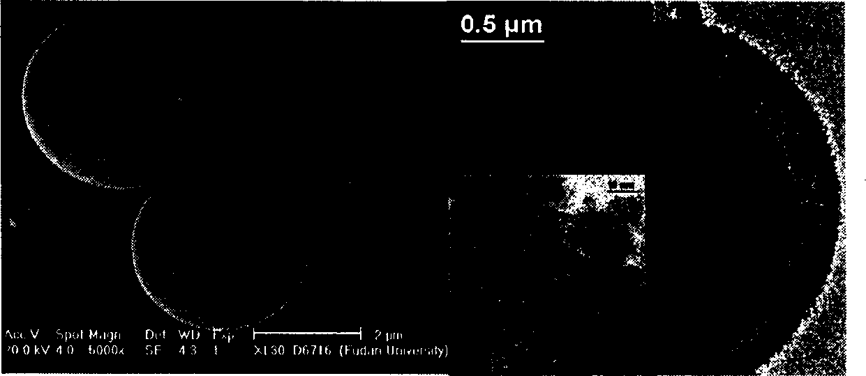 Supported tungstic acid catalyst for synthesizing glutaraldehyde and its producing method