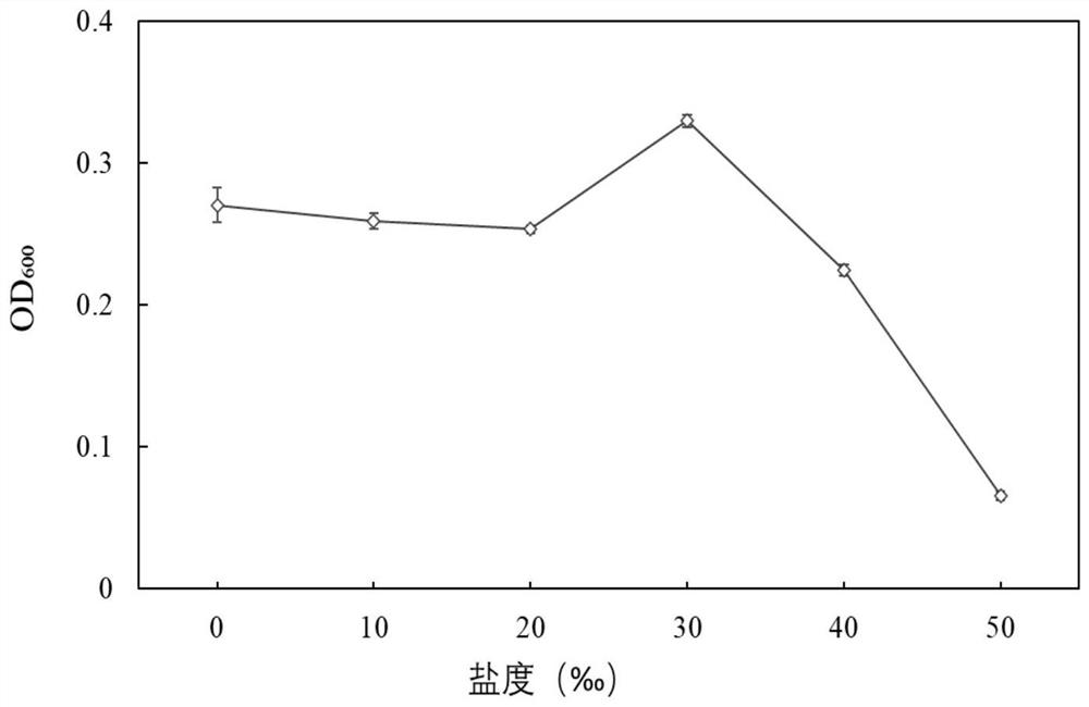 Salt-tolerant bacillus amyloliquefaciens with high self-aggregation capability and application thereof in denitrification