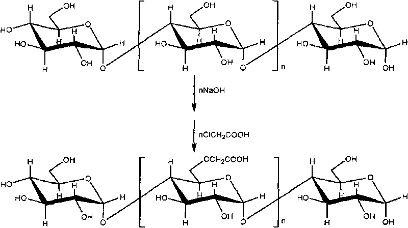 Active carboxymethylpachymaran, production process and application thereof