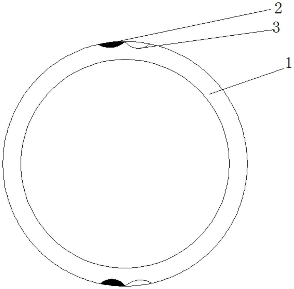 Double-colored strip sheath and its extrusion die