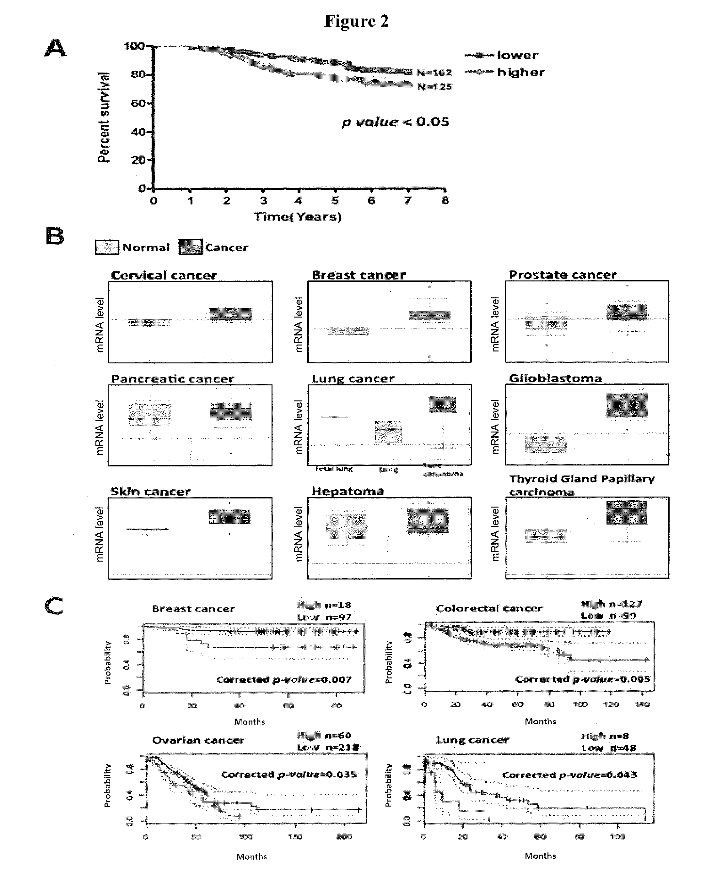 Methods for suppressing cancer by inhibition of tmcc3