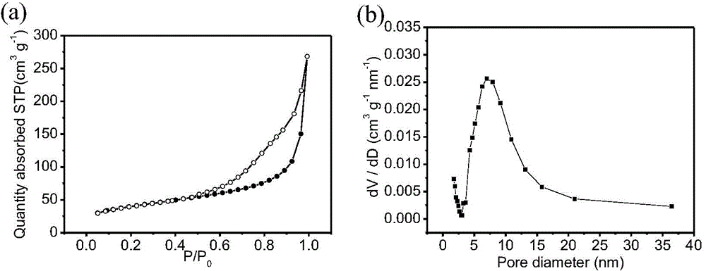 Negative electrode material and preparation method and application of negative electrode material