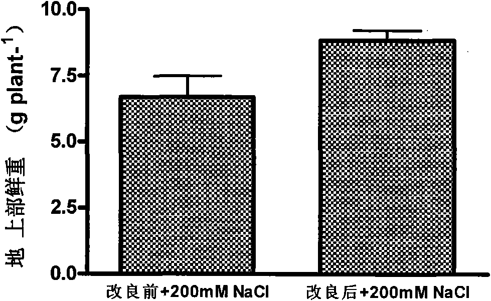 Method for accelerating cucumber growth and special culture medium thereof