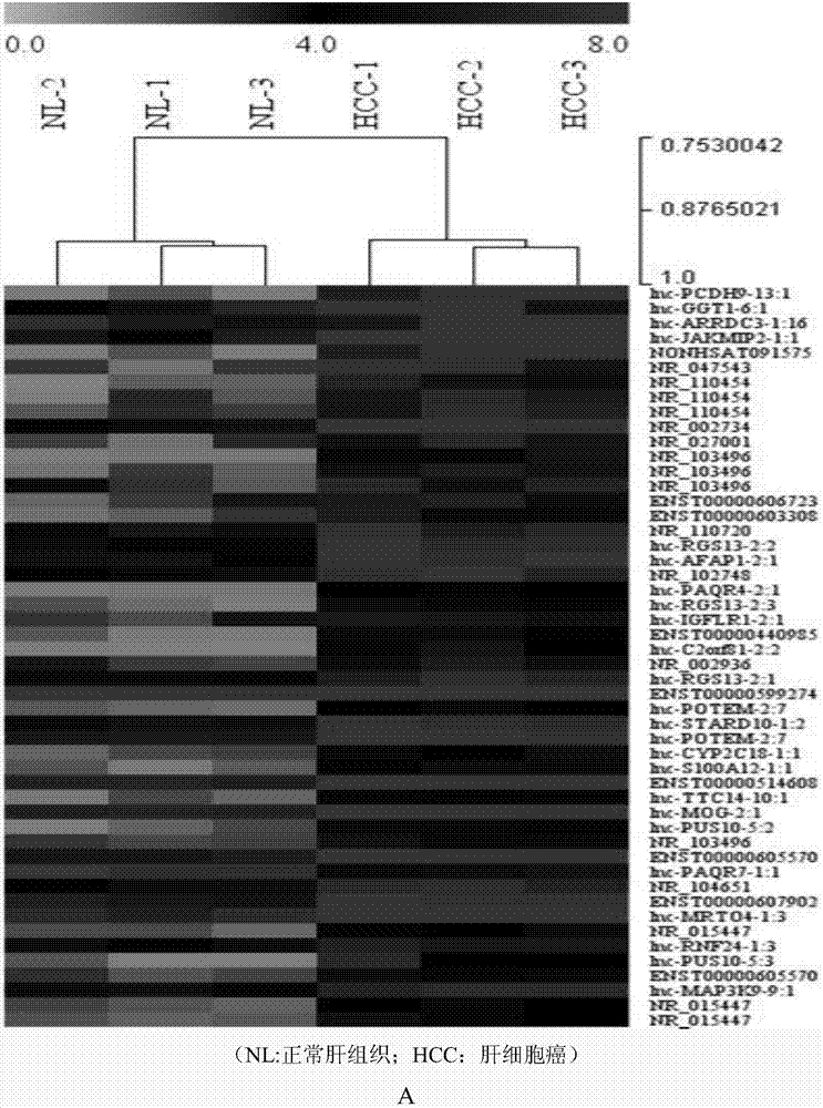 Application of lnc-PCDH9-13:1 detection reagent to preparation of liver cancer diagnosis reagent/kit