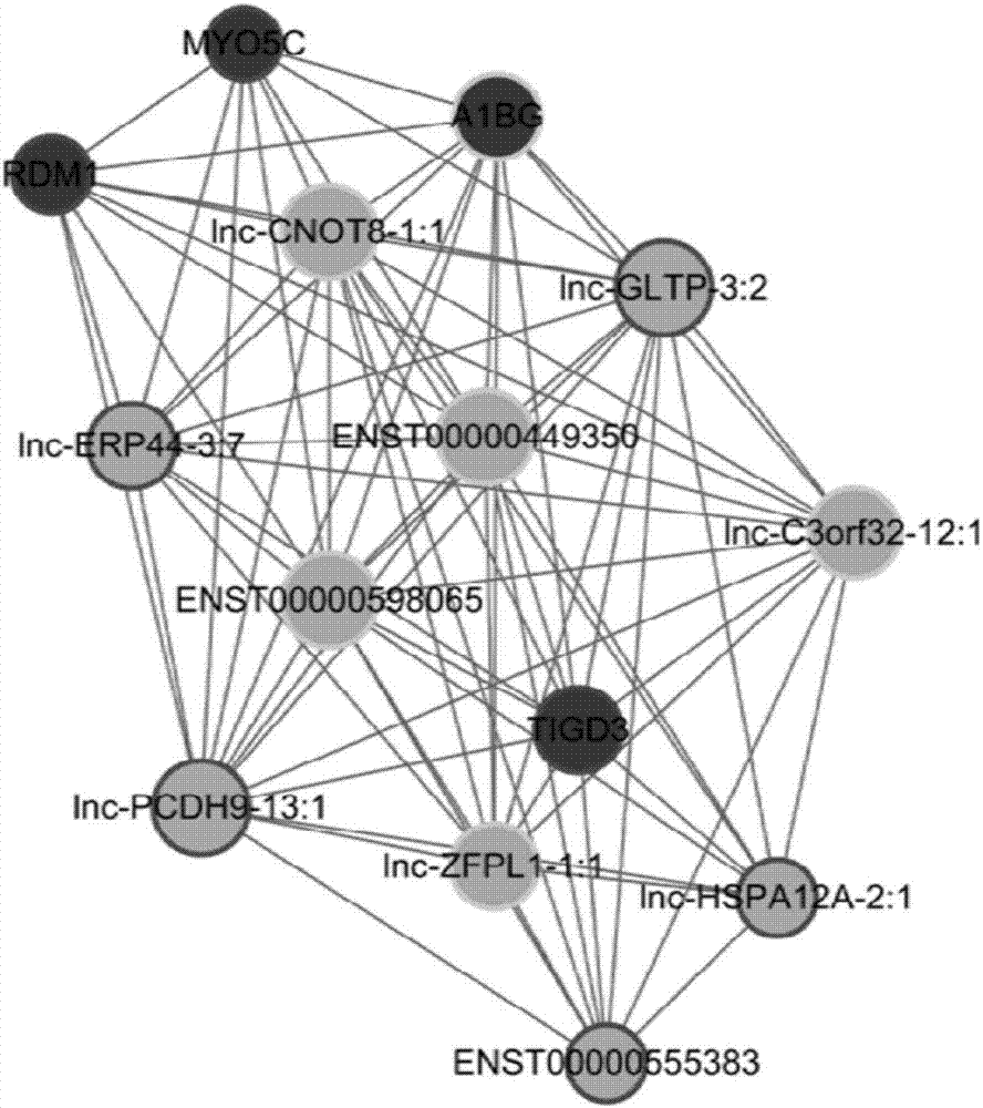 Application of lnc-PCDH9-13:1 detection reagent to preparation of liver cancer diagnosis reagent/kit