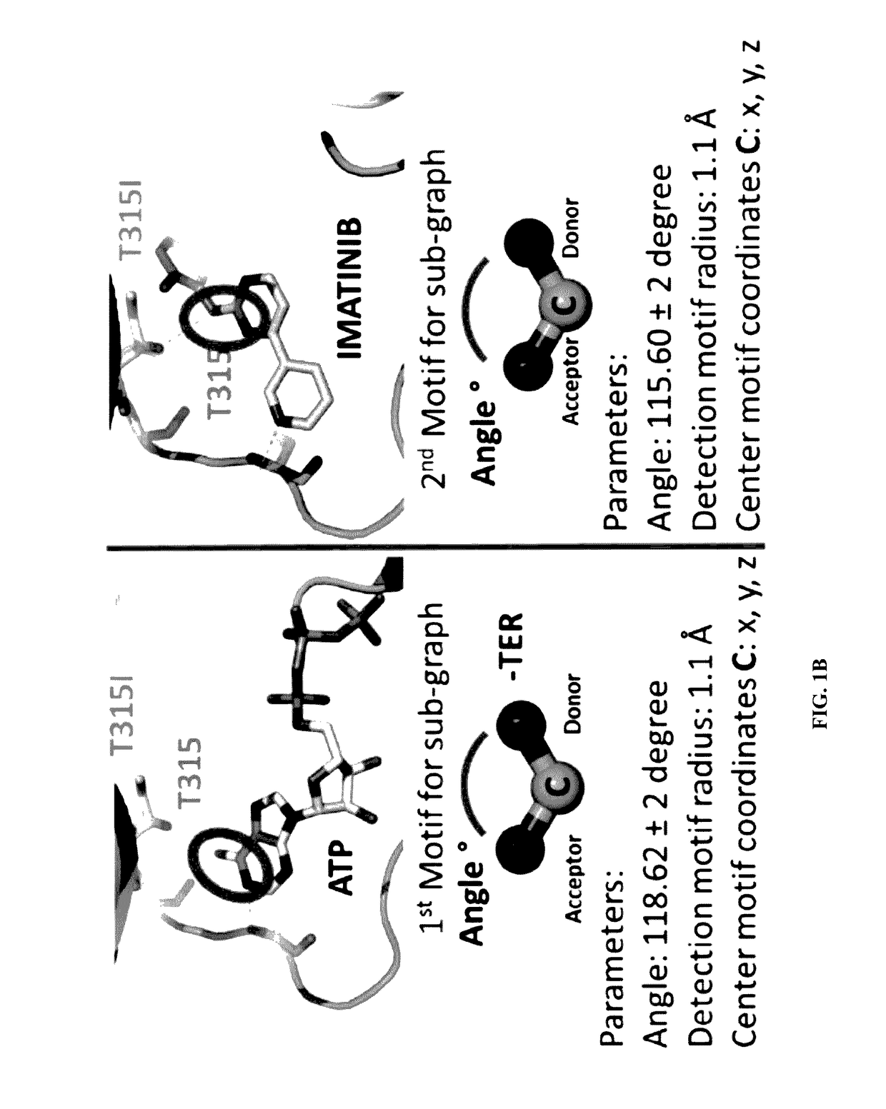 Methods and systems for determination of an effective therapeutic regimen and drug discovery