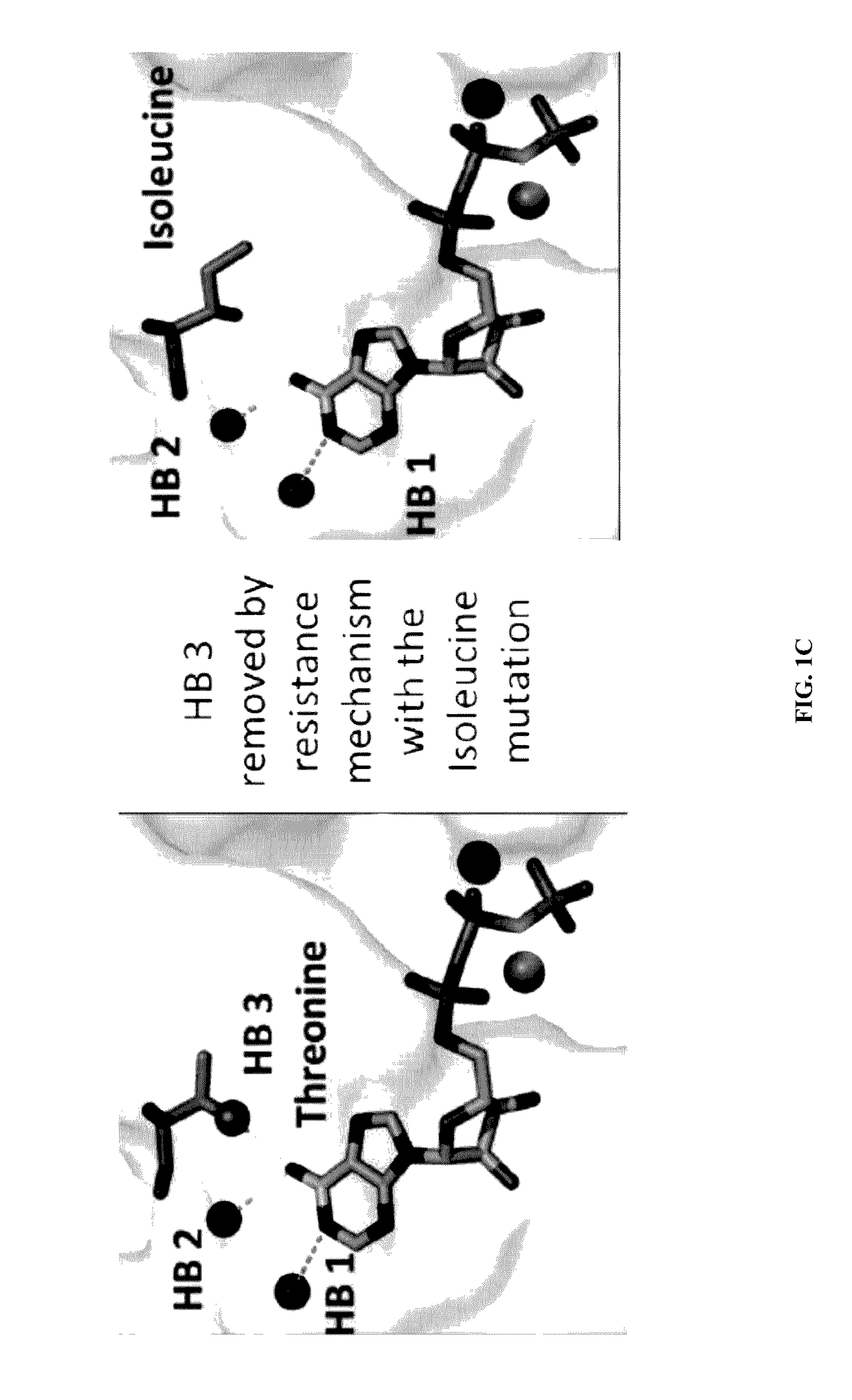 Methods and systems for determination of an effective therapeutic regimen and drug discovery