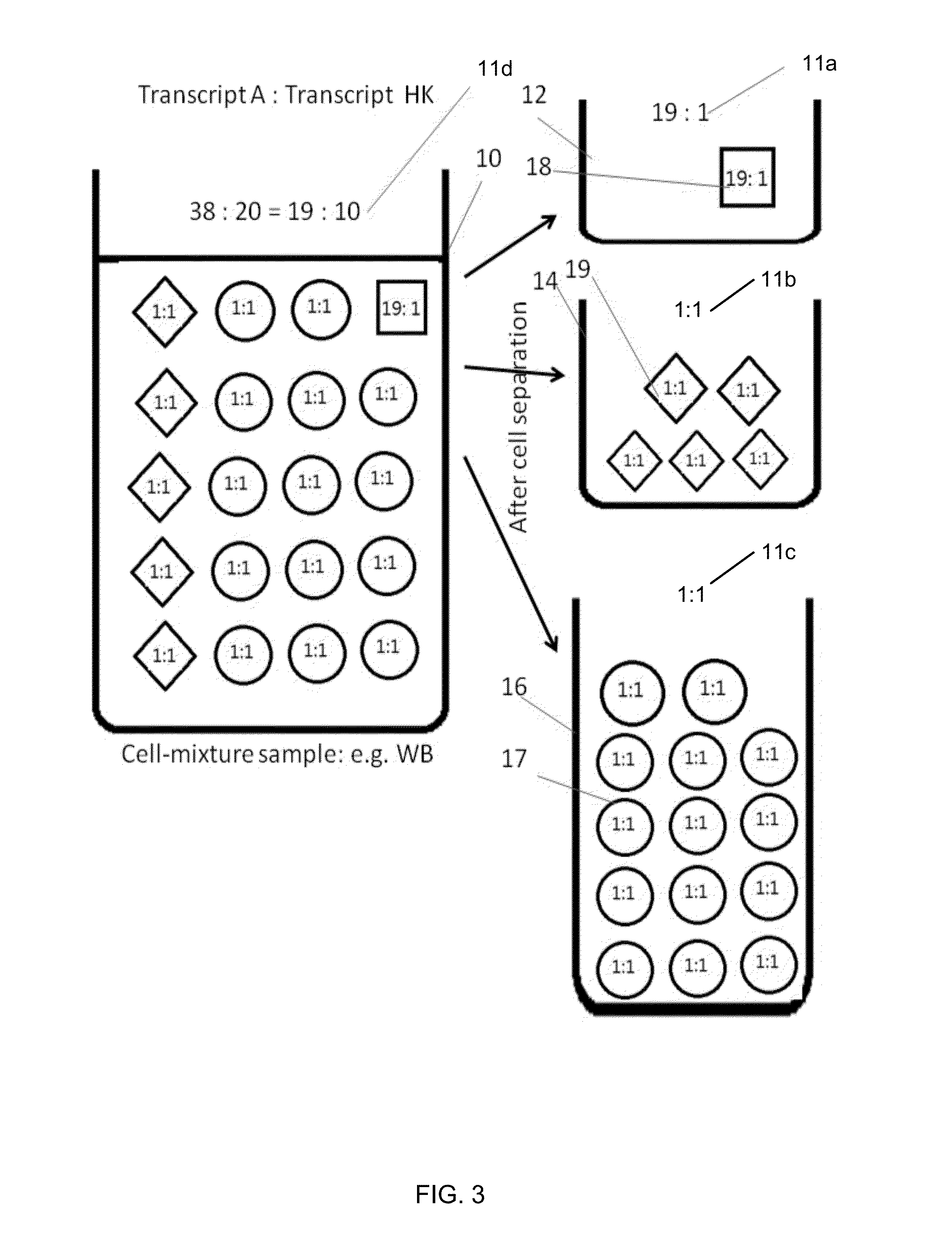 Determination of gene expression levels of a cell type