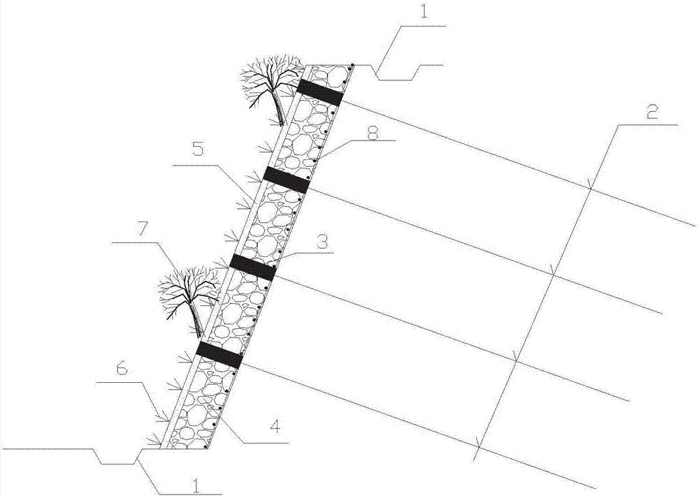 Ecological spray anchor slope protection structure and method