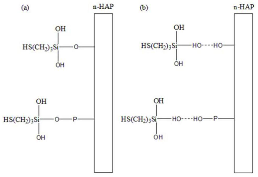 An amphiphilic adsorption type thiol-modified nano-hydroxyapatite adsorbent and its preparation method and application