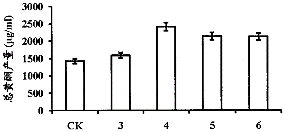 Production process of flavonoids by liquid-solid two-phase culture of Phellinus japonica