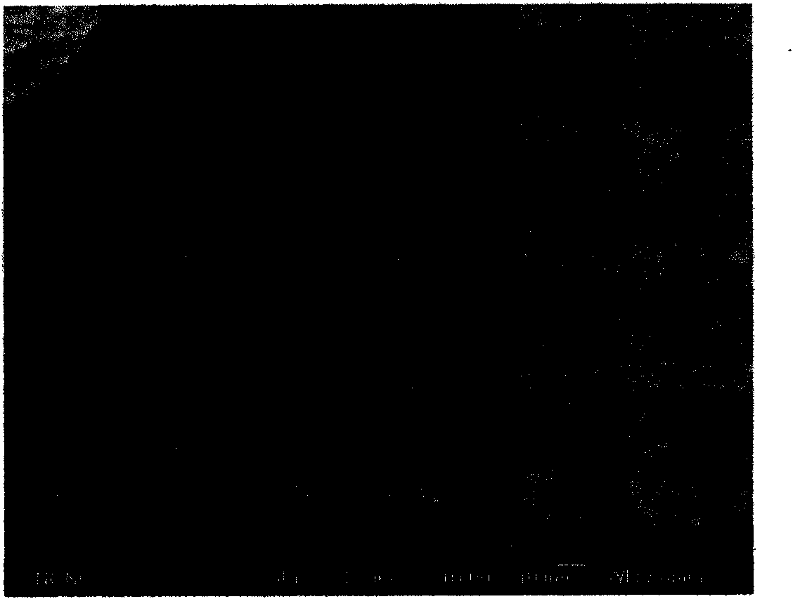 Preparation method and application of rare earth metal hydroxide or vanadate nano material