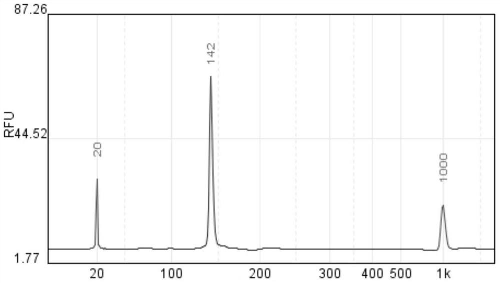 Nucleic acid composition for extracting or detecting small molecule RNA (Ribonucleic Acid) in sample as well as kit and method thereof