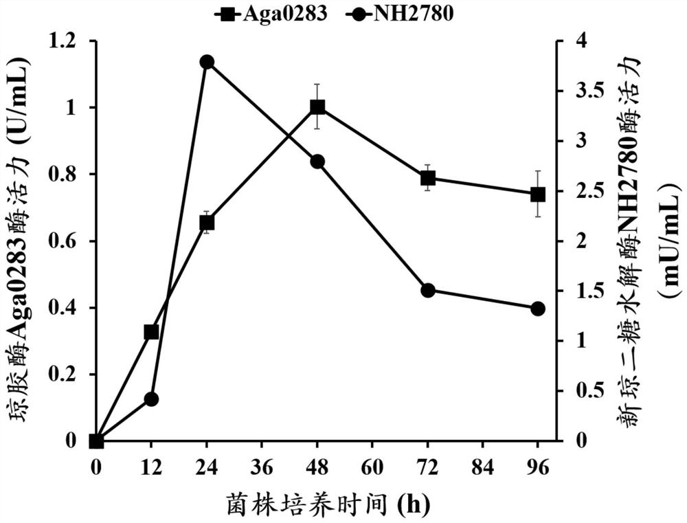 Recombinant bacterium and construction and application thereof