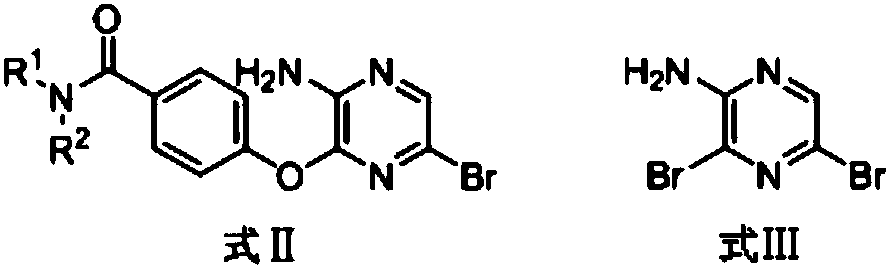 3,5-disubsitutued 2-amino-pyrazine compound and preparation technology and application thereof