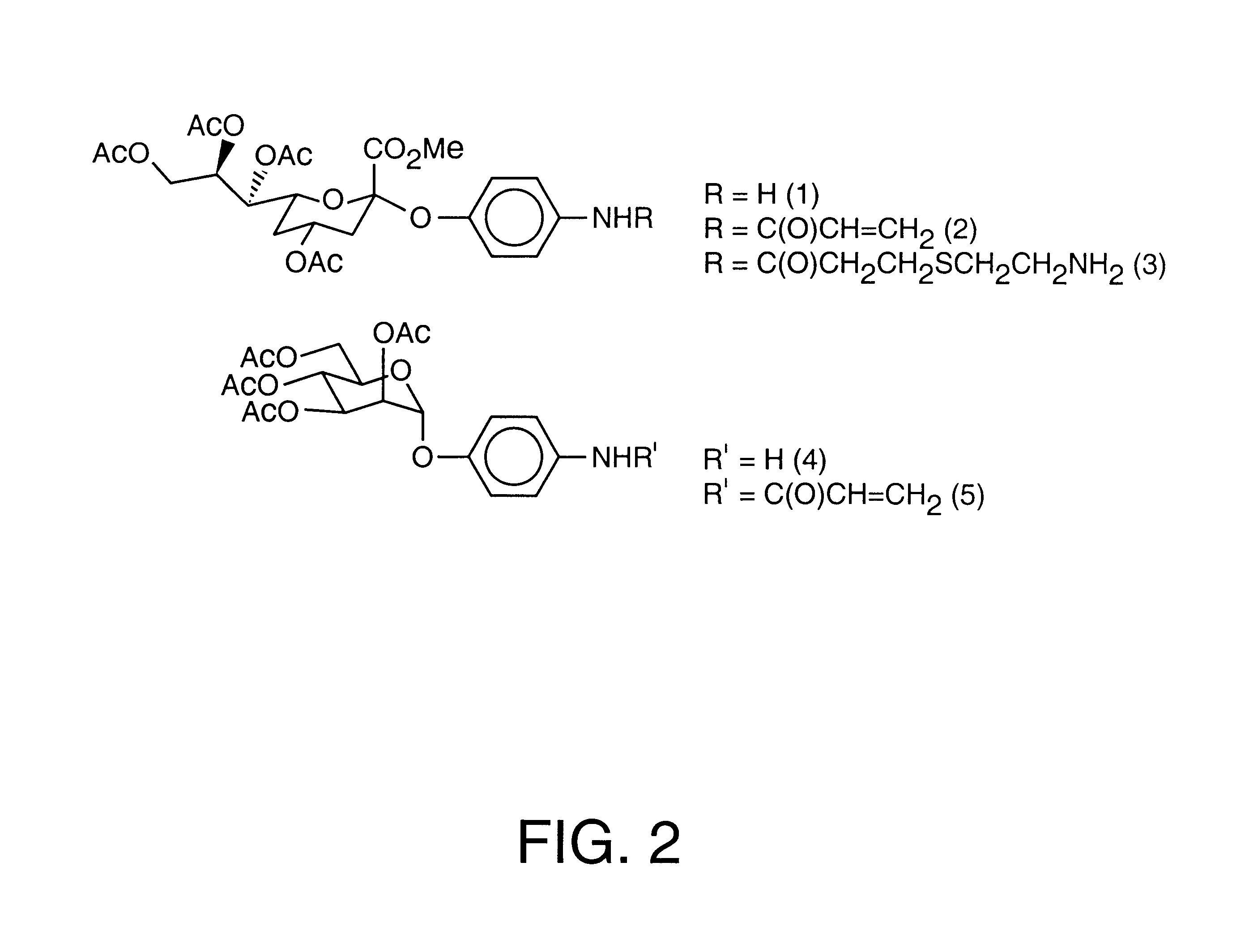 Colorimetric glycopolythiophene biosensors