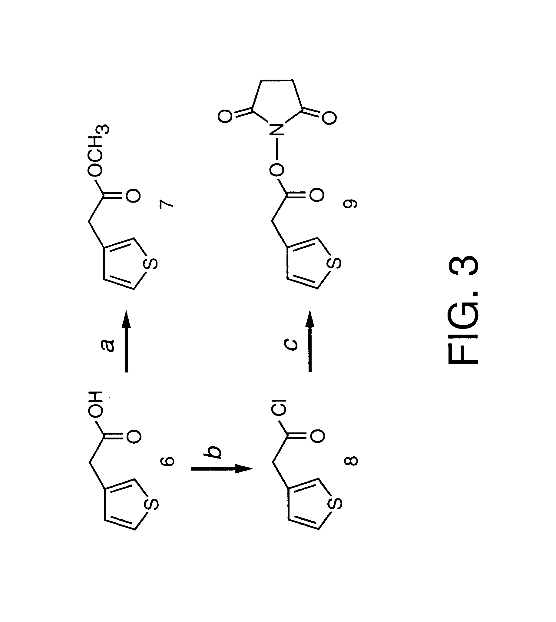 Colorimetric glycopolythiophene biosensors