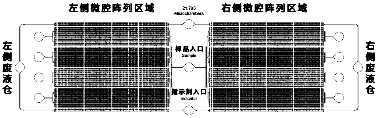 Microcavity multicolor fluorescent digital PCR chip and application thereof