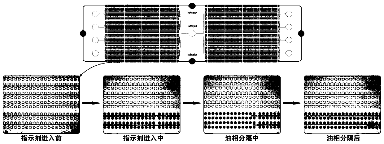 Microcavity multicolor fluorescent digital PCR chip and application thereof