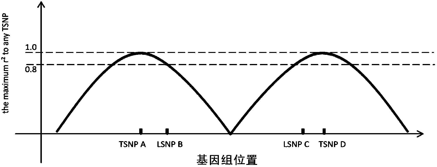 Method for detecting exome mononucleotide coverage rate