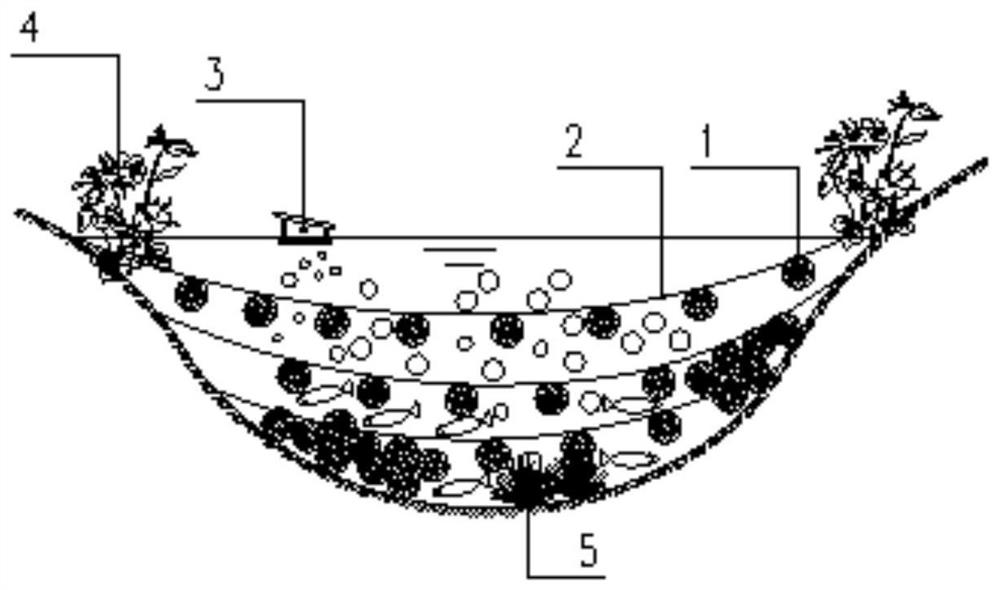 Method for purifying black and odorous water in riverway