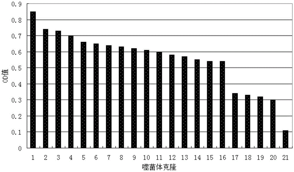 Short-chain polypeptides PCP14 capable of being specifically bound to prostate cancer cells and application of short-chain polypeptides PCP14