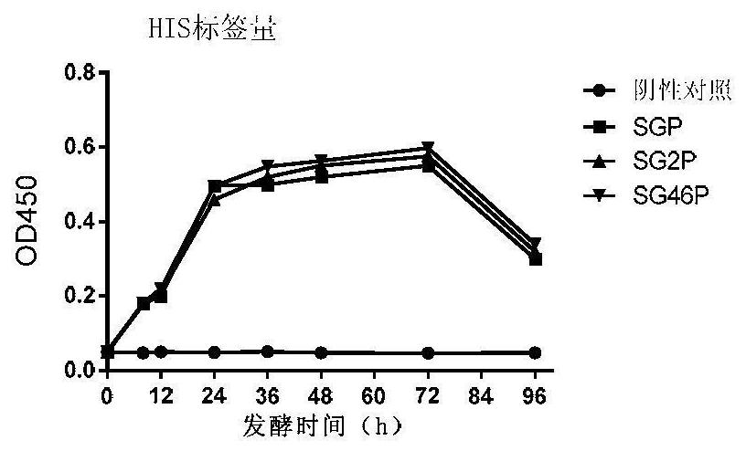 Preparation and application of antimicrobial peptide fusion cytokine campils co-expression biological preparation