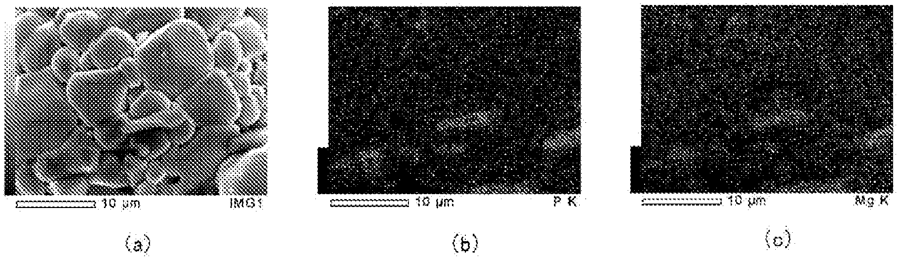 Electrophotographic developer carrier core material, manufacturing method therefor, electrophotographic developer carrier, and electrophotographic developer