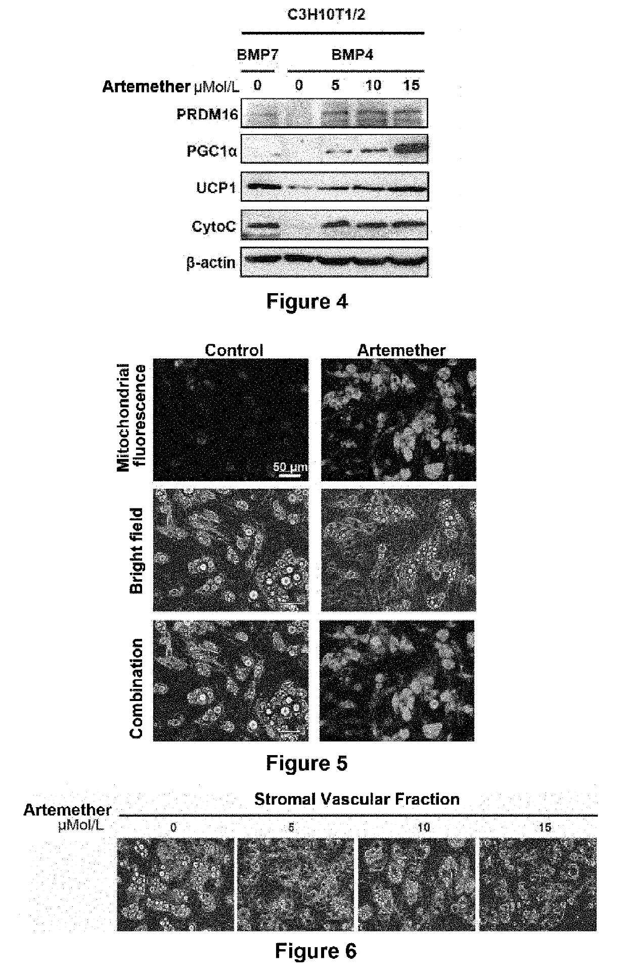 Artemisinin analog, and use, method, and composition for promoting lipid catabolism and improving sugar metabolism