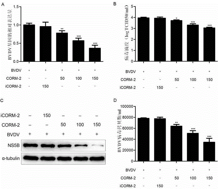 Application of carbon monoxide releasing molecules in preparation of anti-bovine viral diarrhea virus drug