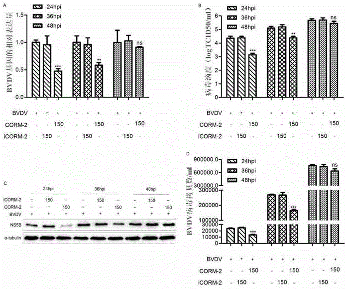 Application of carbon monoxide releasing molecules in preparation of anti-bovine viral diarrhea virus drug