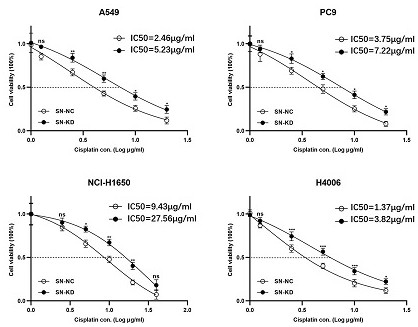 Kit for evaluating curative effect of platinum drugs for patients with lung cancer or bladder cancer and application of kit