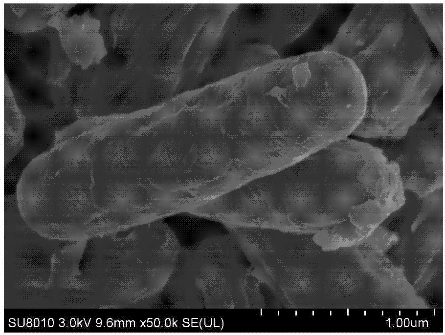 Methylotroph bacillus and application thereof