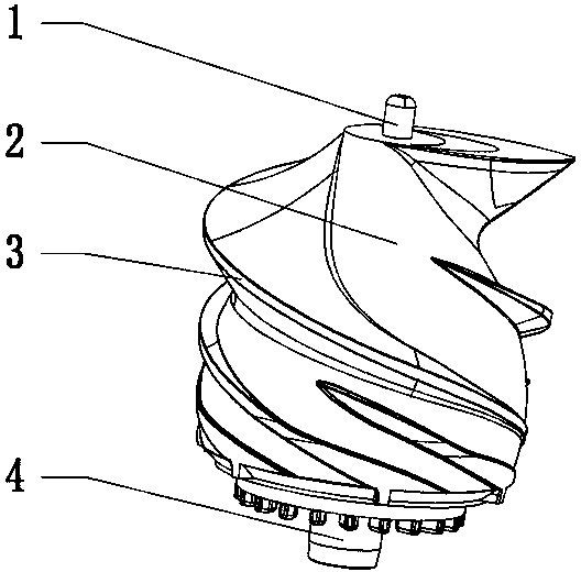 Household juicer screw and manufacturing method thereof