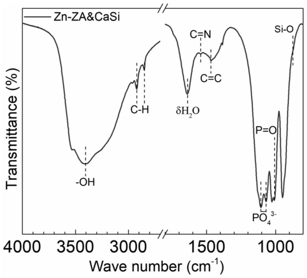 Metal-organic/inorganic hybrid coating for promoting bone regeneration and regulating and controlling corrosion on degradable metal surface and preparation method thereof