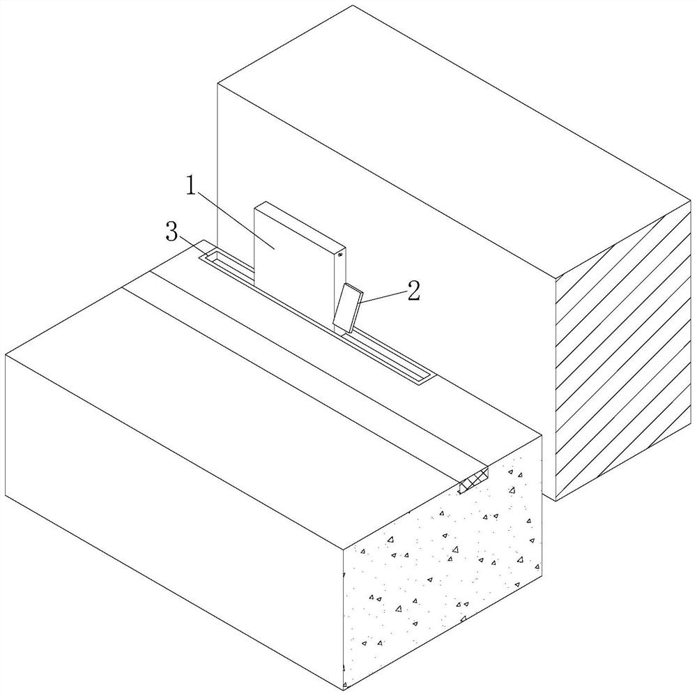 Platform crossing gangway foot plate device for door of railway ordinary-speed passenger train