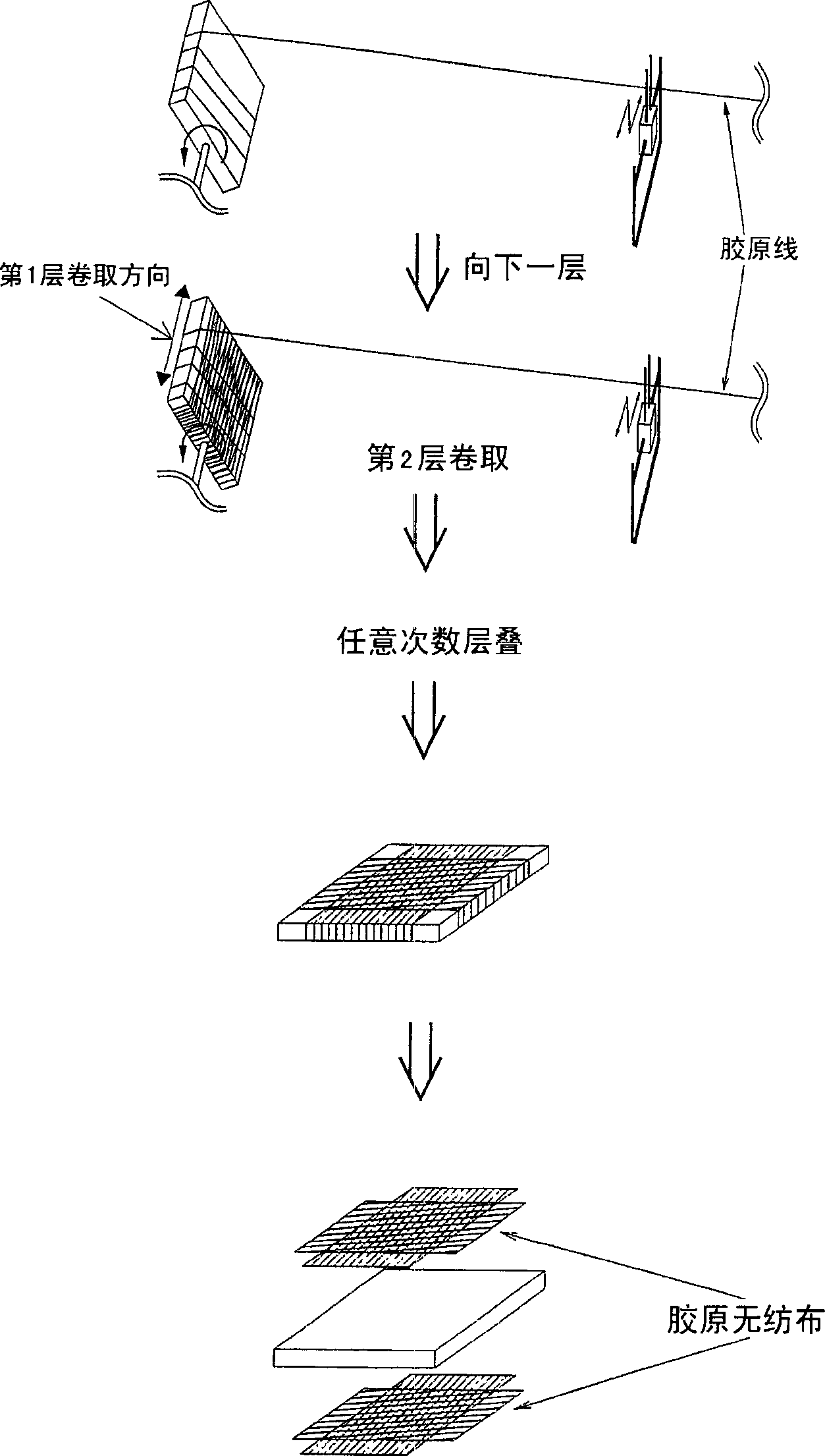 Biodegradable substrate, prosthetic material for tissue regeneration and cultured tissue