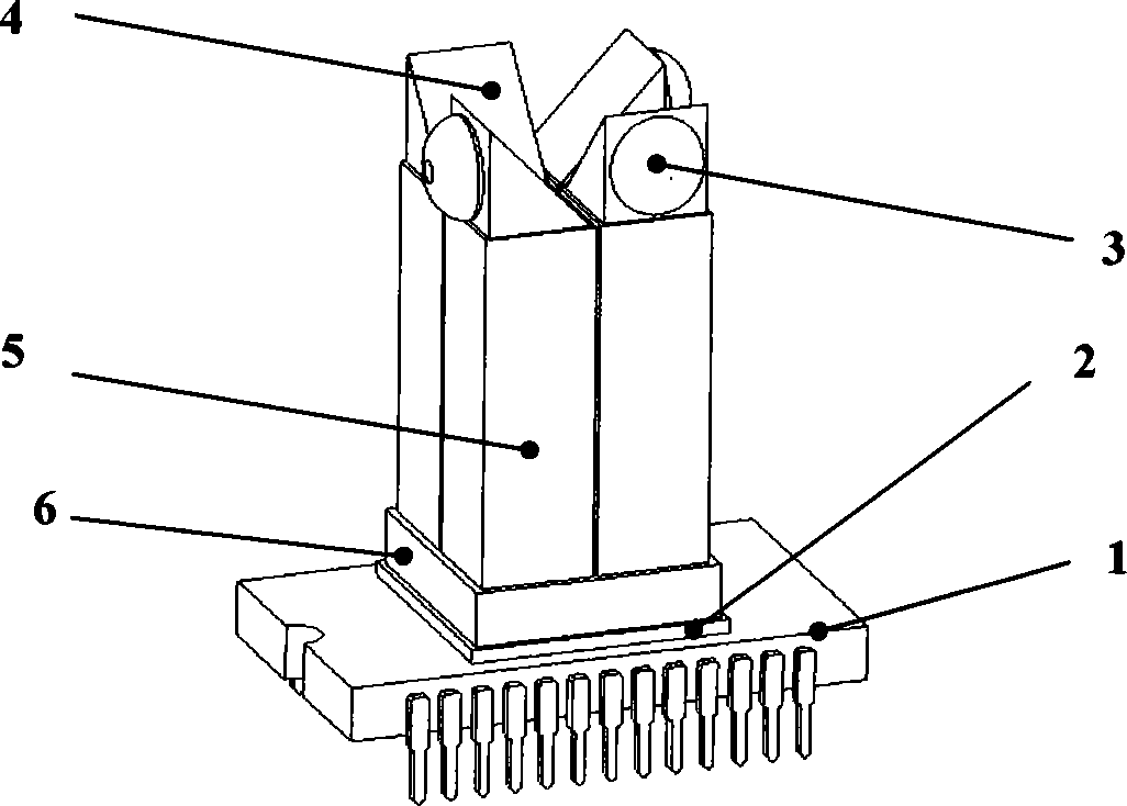 Microminiaturization co-image face panoramic imagery technique