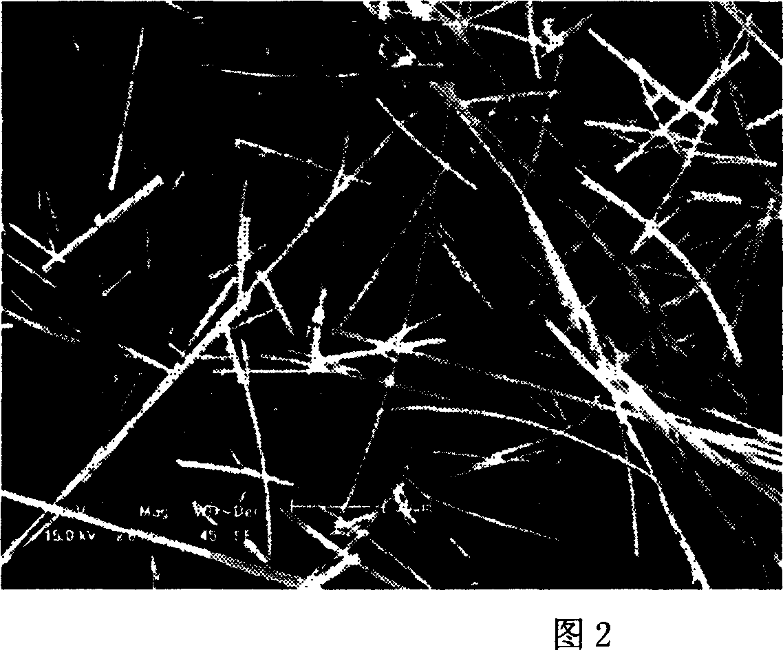 Preparation method of calcium sulfate whisker