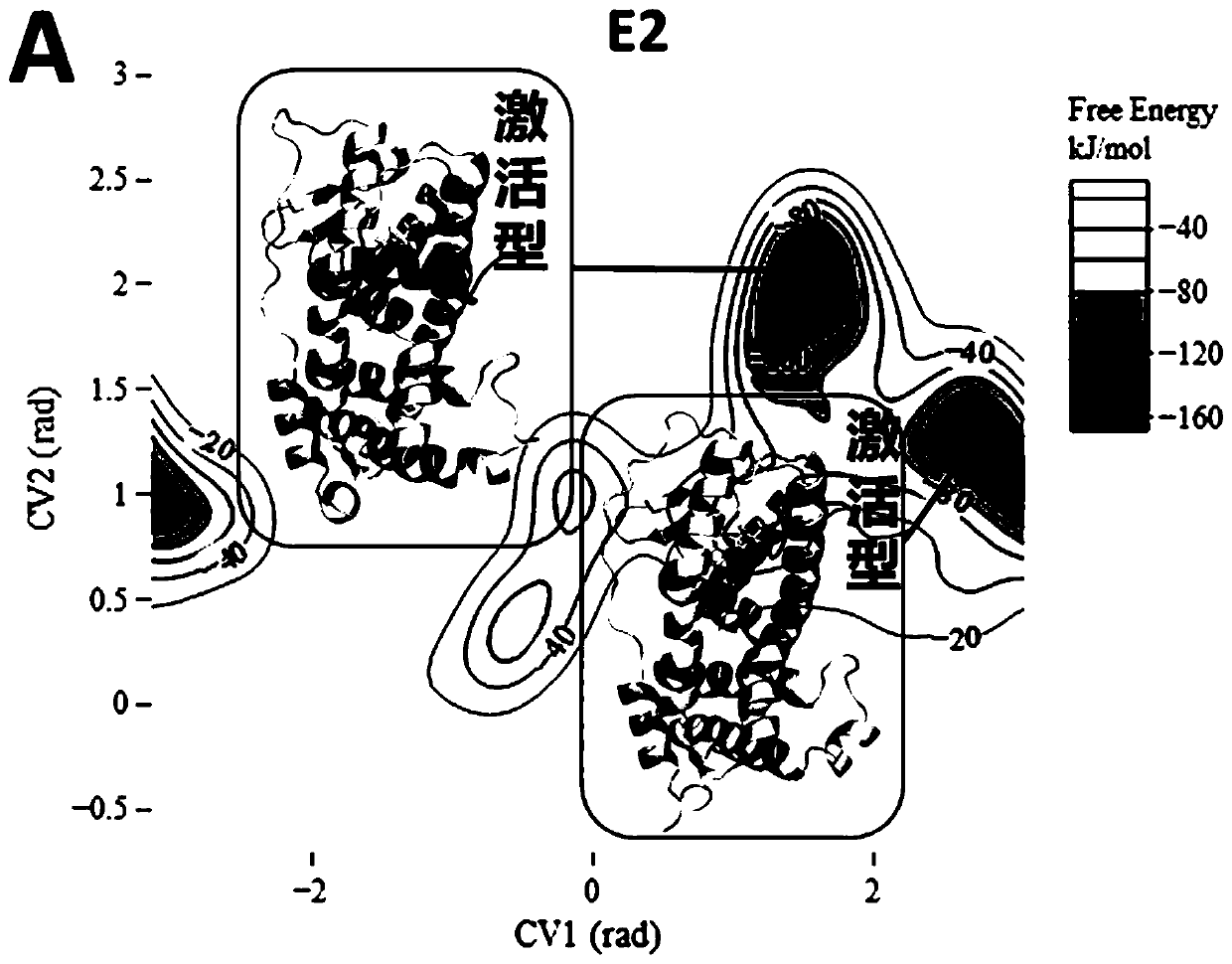 Hybrid pseudo-estrogen and anti-estrogen disruptor recognition method based on enhanced sampling molecular dynamics simulation