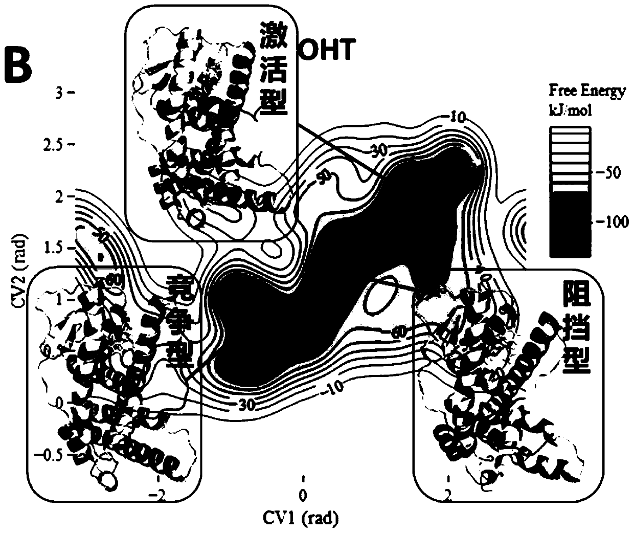 Hybrid pseudo-estrogen and anti-estrogen disruptor recognition method based on enhanced sampling molecular dynamics simulation