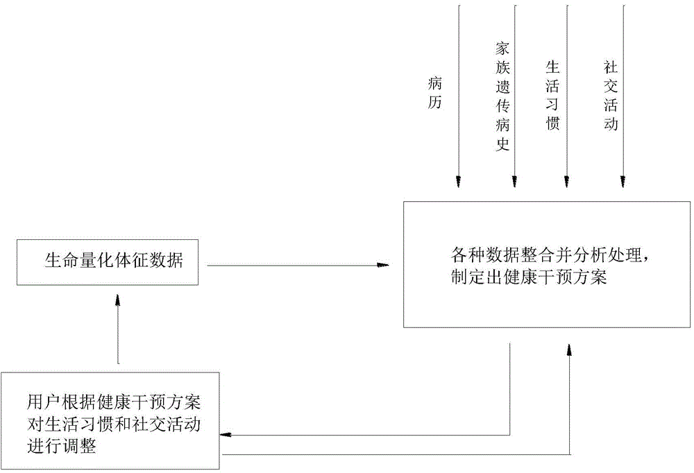 Medical health intervention system and intervention method based on system