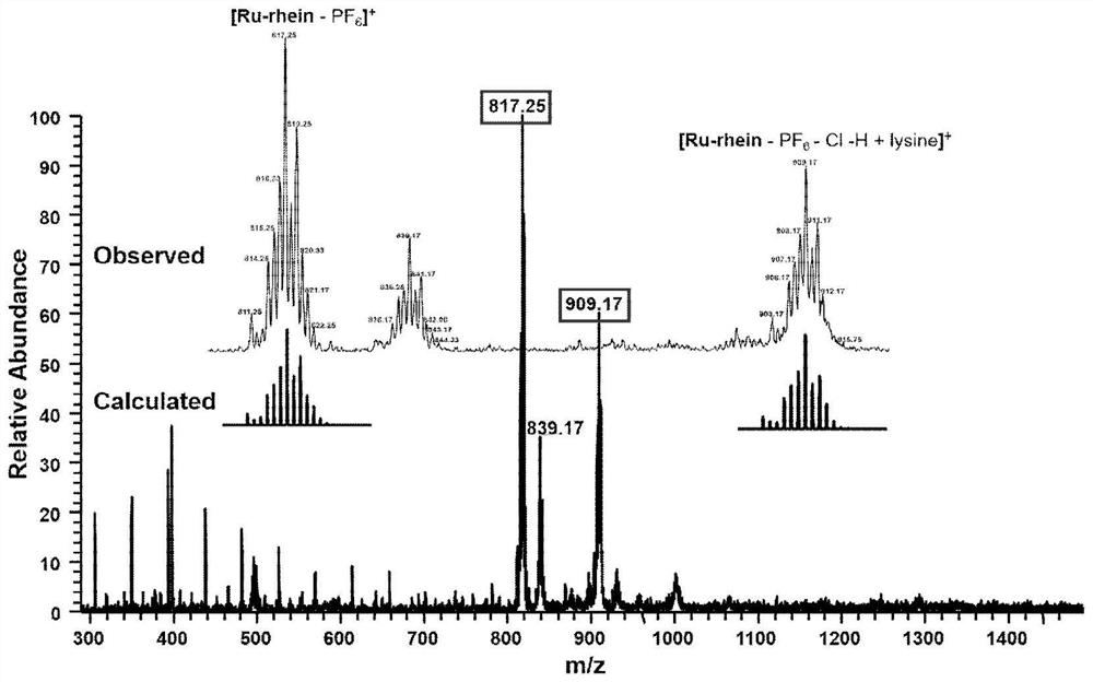 High-efficiency and low-toxicity anticancer compound synthesized by autocatalysis in cells and living bodies and its synthesis method