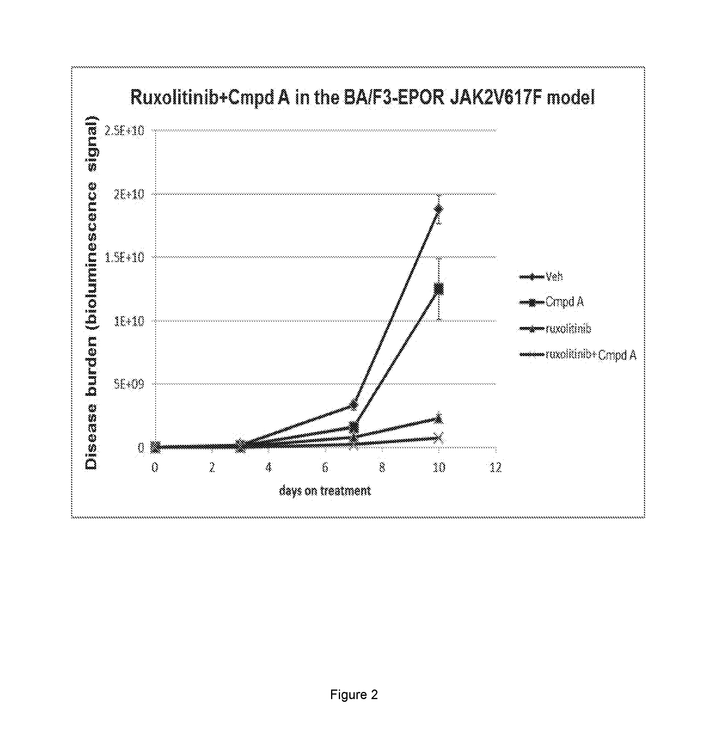 Pim kinase inhibitor combinations